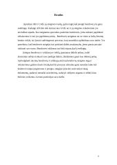 AB ir UAB steigimas 12 puslapis