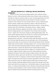 AB ir UAB steigimas 3 puslapis