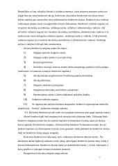 AB ir UAB steigimas 4 puslapis