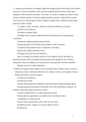 AB ir UAB steigimas 5 puslapis