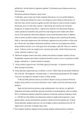 AB ir UAB steigimas 8 puslapis