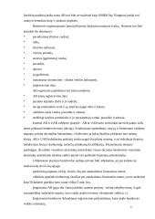 AB ir UAB steigimas 10 puslapis