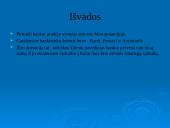 Bankų raida 11 puslapis