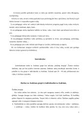 Individualus socialinis darbas vaikų darželyje 5 puslapis