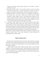 Individualus socialinis darbas vaikų darželyje 6 puslapis