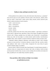 Individualus socialinis darbas vaikų darželyje 8 puslapis