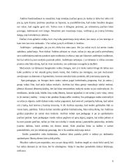 Individualus socialinis darbas vaikų darželyje 9 puslapis