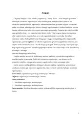 Organizacijos struktūra. Kursinis darbas 3 puslapis