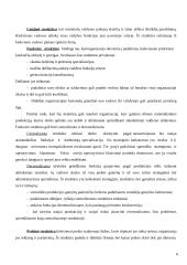 Organizacijos struktūra. Kursinis darbas 6 puslapis