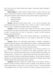 Organizacijos struktūra. Kursinis darbas 7 puslapis