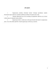 Organizacijos struktūra. Kursinis darbas 9 puslapis