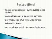 Parama avininkystei 13 puslapis