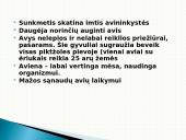 Parama avininkystei 4 puslapis