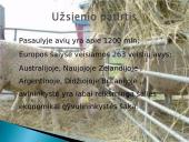 Parama avininkystei 9 puslapis