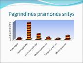 Vokietijos federacinė respublika. Pristatymas 10 puslapis