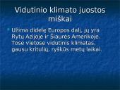 Vidutinio klimato juostos miškai 3 puslapis