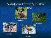 Vidutinio klimato juostos miškai 5 puslapis