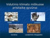 Vidutinio klimato juostos miškai 7 puslapis
