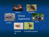 Vidutinio klimato juostos miškai 9 puslapis