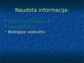 Vidutinio klimato juostos miškai 10 puslapis