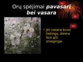 Orų spėjimai pagal gamtinius reiškinius 12 puslapis