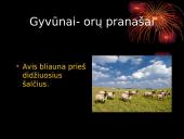 Orų spėjimai pagal gamtinius reiškinius 19 puslapis