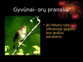 Orų spėjimai pagal gamtinius reiškinius 20 puslapis