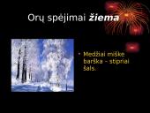 Orų spėjimai pagal gamtinius reiškinius 3 puslapis