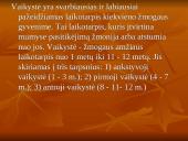 Vaikystė 8-12 metų 3 puslapis