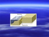 Žemės drebėjimai. Earthquakes 9 puslapis