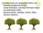 Didžiosios Britanijos klimatas 4 puslapis