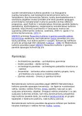 Nematerialaus kultūros paveldo Apsaugos konvencija 2 puslapis