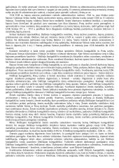 Lietuvos valstybės sukūrimas 6 puslapis