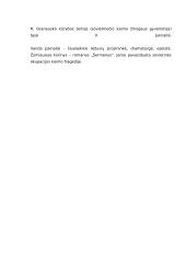 Lietuvių poetai egzaminams 4 puslapis