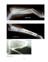 Traumos ir sveikata 16 puslapis