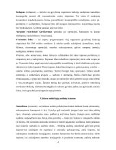 Traumos ir sveikata 4 puslapis