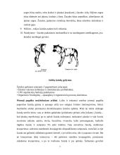 Traumos ir sveikata 7 puslapis