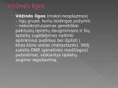 Vėžio istorija 4 puslapis