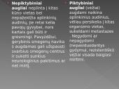 Vėžio istorija 5 puslapis