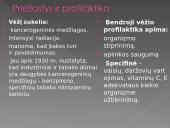 Vėžio istorija 8 puslapis