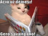 Mikalojus Radvila Rudasis. Biografija 12 puslapis