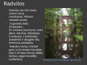 Mikalojus Radvila Rudasis. Biografija 3 puslapis