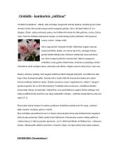 Orchidėjų rūšys 2 puslapis