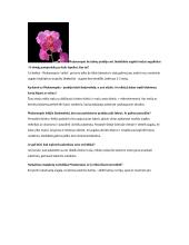 Orchidėjų rūšys 15 puslapis