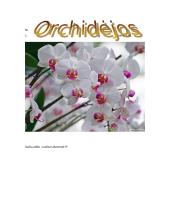 Orchidėjų rūšys 17 puslapis