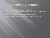 Lietuvių sutartinės įtrauktos į UNESCO kultūros paveldą 6 puslapis