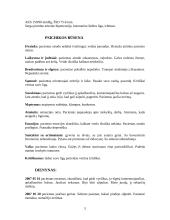 Ligos istorija: paranoidinė šizofrenija, epizodinė eiga 5 puslapis