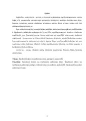 Auditoriaus teisės, pareigos ir atsakomybė 2 puslapis