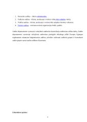 Auditoriaus teisės, pareigos ir atsakomybė 5 puslapis