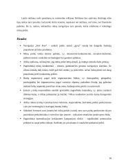 Navigacijos ,,Feel Free ,, marketingo sprendimai 18 puslapis